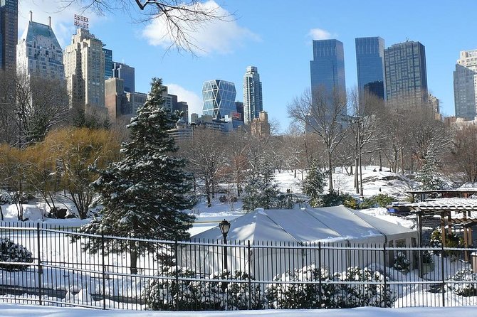 NYC Manhattan Private Custom Christmas Tour With a Local Guide - Booking Information