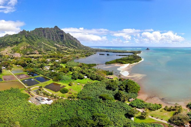 Oahu Island Full-Day Sightseeing Tour - Accessibility and Safety