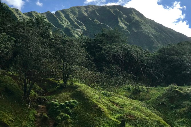 Oahu Private First, Last and Transfer Day Tours With Luggage - Whats Included
