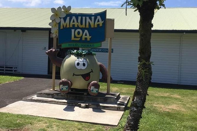 Oahu to Big Island 1 Day Trip : Volcano Tour From Oahu With Air Ticket - Reviews and Ratings