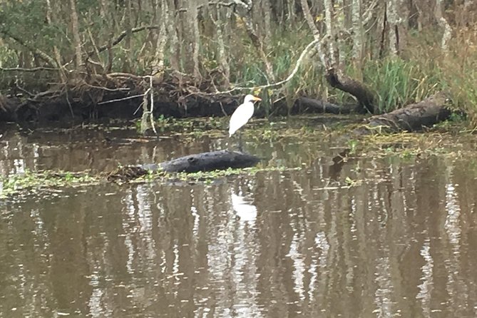Oak Alley Plantation & Airboat Tours - Highlights and Inclusions