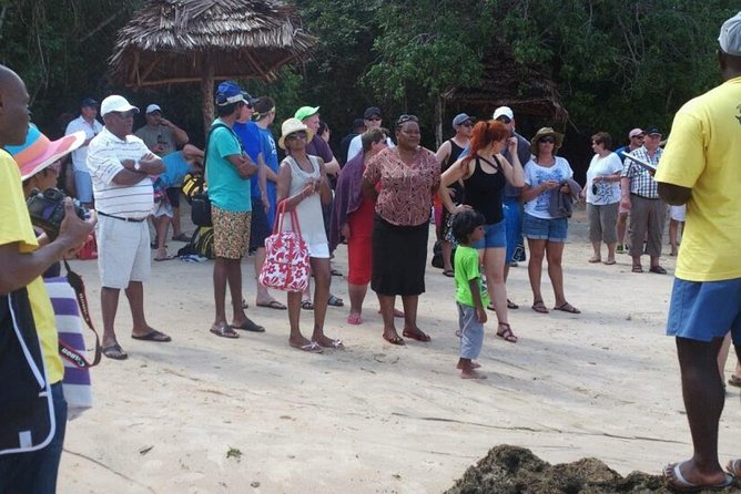 Ocean Safari Tour - Frequently Asked Questions
