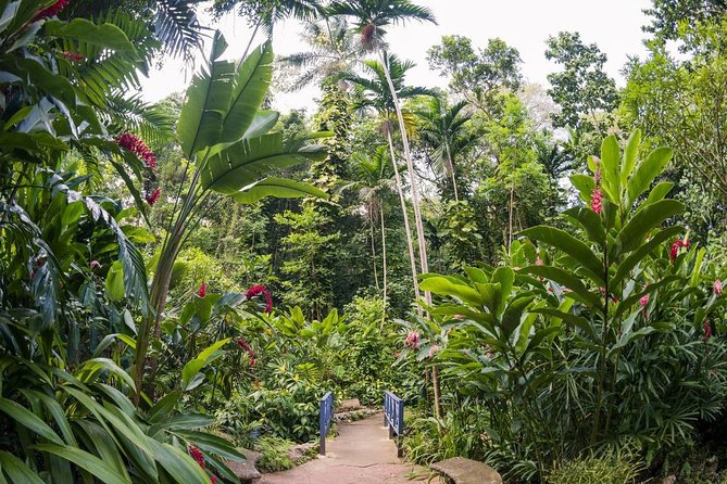 Ocho Rios Highlight & Blue Hole - Full Day Tour - Highlights of the Tour