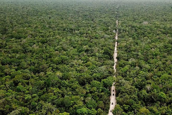 Off Road ATV Tour at the Akumal Monkey Rescued Animals Sanctuary - Customer Reviews and Feedback