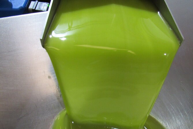 Oil Tourism in Pulpí Discover the World of EVOO - Exploring the Tienda Gourmet OleoAlmanzora