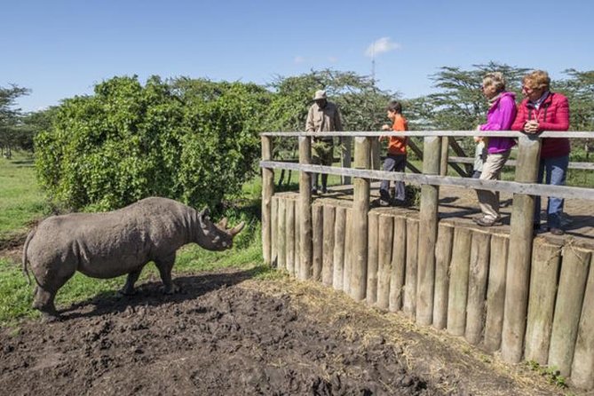 Ol Pejeta Conservancy Day Tour From Nairobi - Accessibility and Pricing