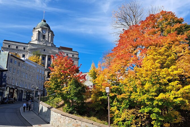 Old Québec & French Canada Private History Walking Tour - Traveler Insights and Recommendations
