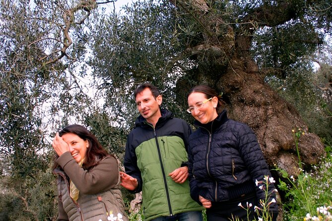 Olive Oil Mill Experience and Tasting in Salento With Guide - Reviews and Feedback