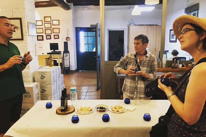 Olive Oil Tour and Visit to Belchite Old Town - Olive Oil Production Experience