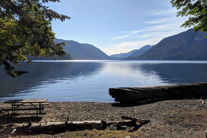 Olympic National Park Luxury Small-Group Day Tour With Lunch - Scenic Attractions in the Park