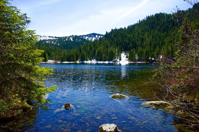 Olympic National Park Self-Guided Driving Audio Tour - Highlights of the Tour