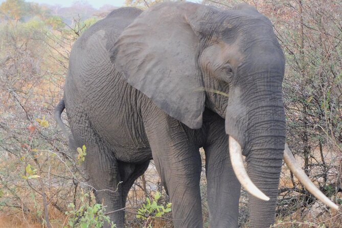 One Day Akagera Safari From Kigali - Personalized Experience