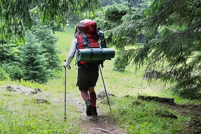 One Day Hiking in Bucegi Natural Park-Private Day Tour From Brasov - Health and Safety Guidelines