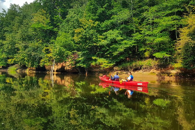 One-Day Kayaking Trip in Gauja River Valley - User Reviews and Feedback