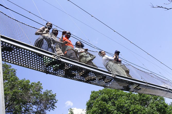One Day Nyungwe National Park Tour& Canopy Walk (2 Pax Min) - Cancellation and Booking Policy
