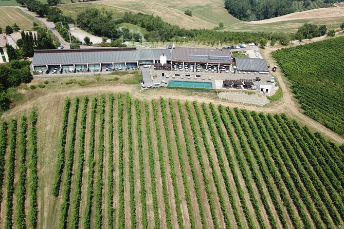 Organic Winery Tour and Balsamic Tasting in Modena - Winery and Vinegar Works