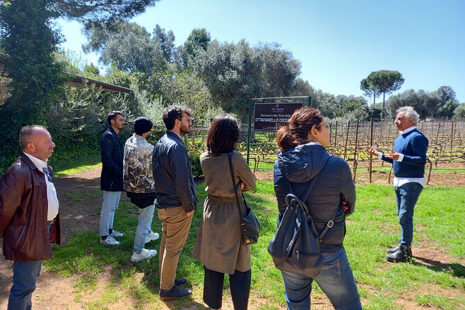 Ostuni DOC Winetour and Tasting. - Confirmation and Booking Details