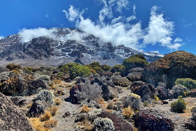 Our Top 6-Day Kilimanjaro Marangu Route: Ultimate  and 2025 - Post-Trek Experiences and Reflections