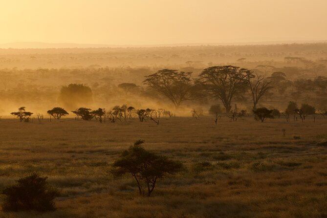 Outstanding Day Trip to Tarangire National Park - Who Should Avoid