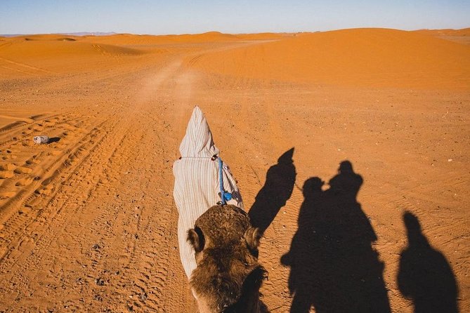 Overnight Camel Trekking in Merzouga - What to Expect on Your Trek