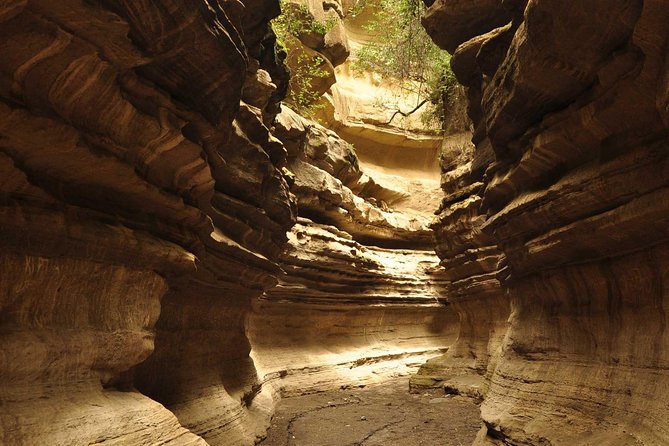 Overnight Tour to Mount Longonot and Hells Gate Naivasha - Activities at Mount Longonot