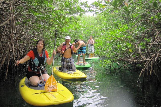 Paddleboard Cenote Tour - Cancellation and Booking