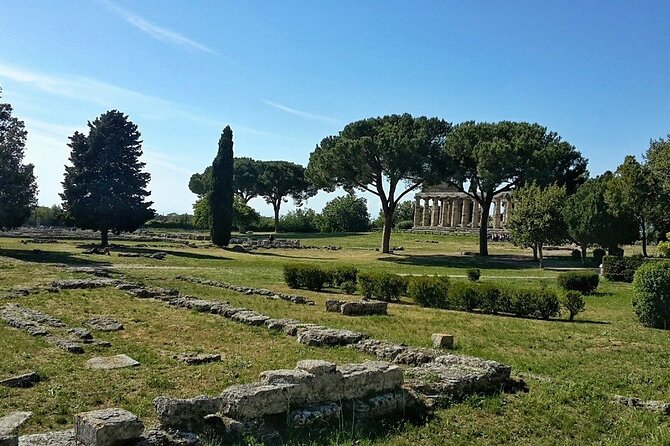 Paestum Park and Bufalo Farm Day Tour From Sorrento - What to Expect
