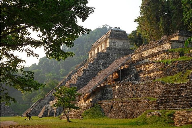 PALENQUE MAYAN RUINS (Private) - Pricing and Availability