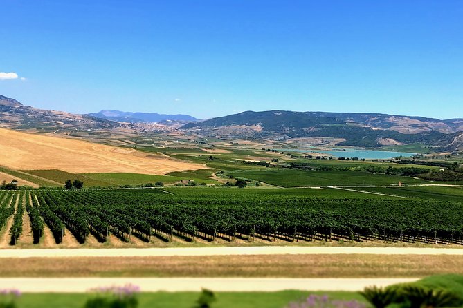Palermo Private Olive Oil and Selinunte Site Tour - Policies and Cancellation Details
