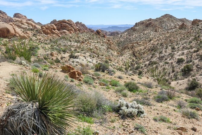 Palm Springs and Joshua Tree Self-Guided Driving Audio Tours - User Feedback and Support
