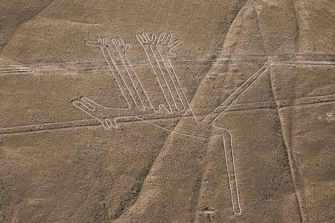 Paracas Shore Excursion: Nazca Lines Tour - Cancellation Policy