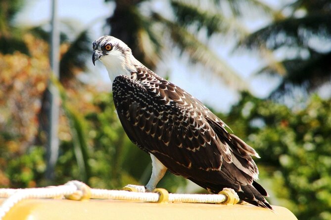 Paradise Islands Tour: Isla Contoy and Isla Mujeres - Ratings and Reviews