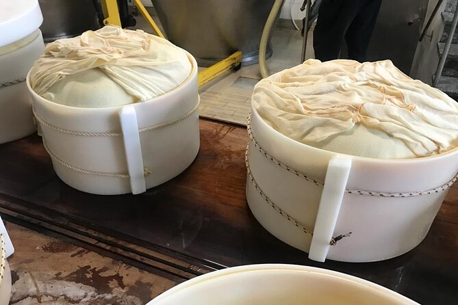 Parmigiano Cheese Factory Visit and Tasting - Discovering Wine Pairing Recommendations