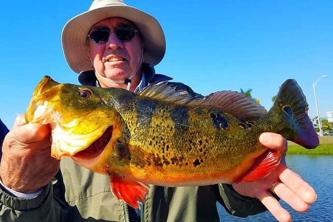 Peacock Bass Fishing Trip in Boynton Beach - Catch of the Day