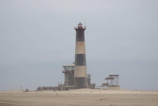 Pelican Point Seal Colony 4x4 Tour - Planning Your Visit