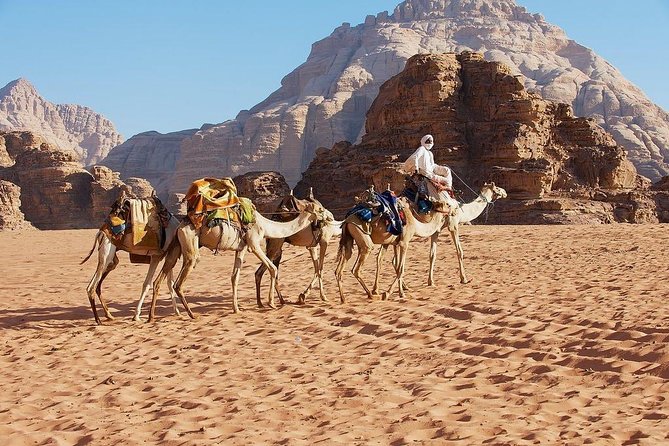 Petra & Wadi Rum 3 Days 2 Tour Nights From Eilat Border - Visa and Additional Information