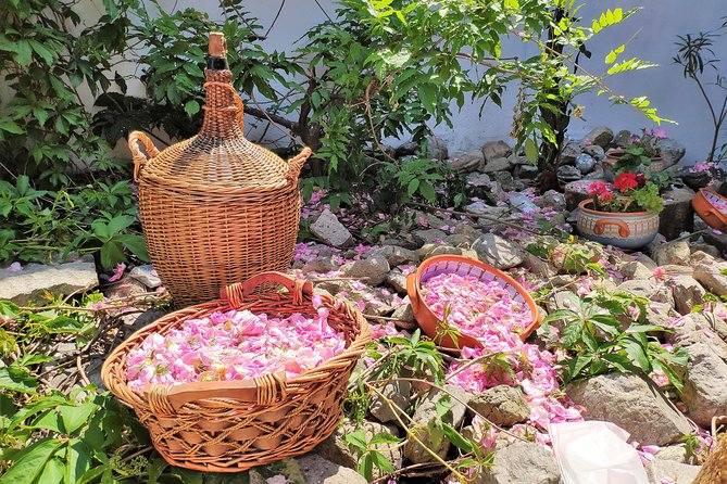 Picking Roses Workshop & Extracting Rose Oil in the Rose Valley - Cancellation and Refund Guidelines