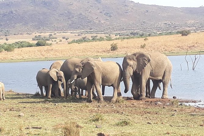 Pilanesberg Game Reserve Guided Day Tour From Johannesburg or Pretoria - Nearby Attractions