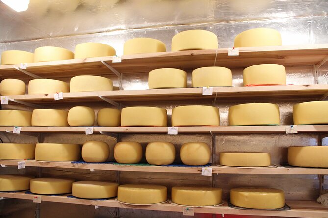 Pisa, Lucca & Cheese Farm With Wine Tasting Private Tour - Customer Reviews