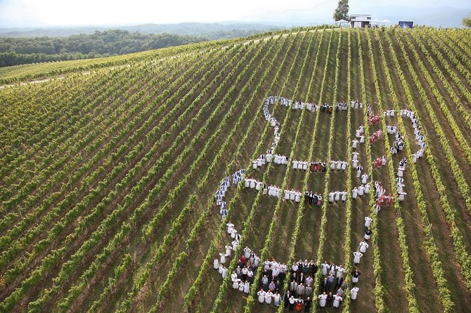Plesivica Region Wine Tasting Half-day Tour - Tour Operator and Quality Assurance