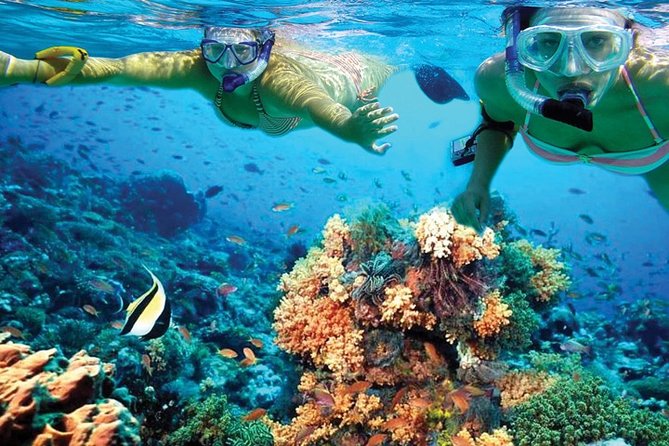 Plus Experience Isla Mujeres Tour - Snorkeling Experience