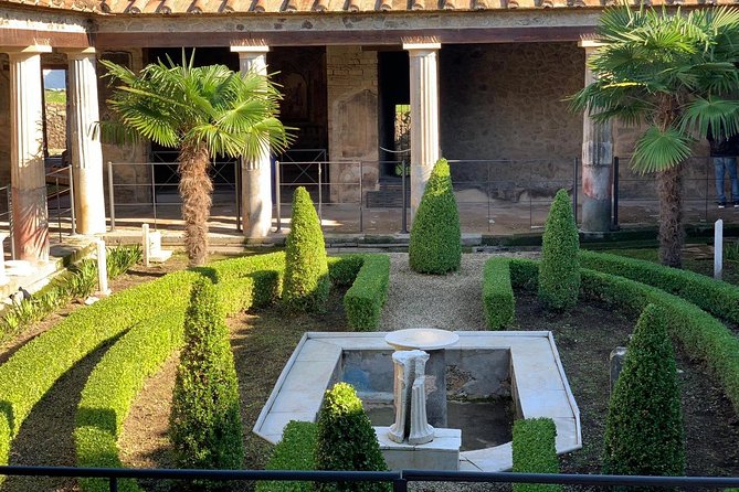 Pompeii & Mount Vesuvius Private - Private Vehicle and Guide