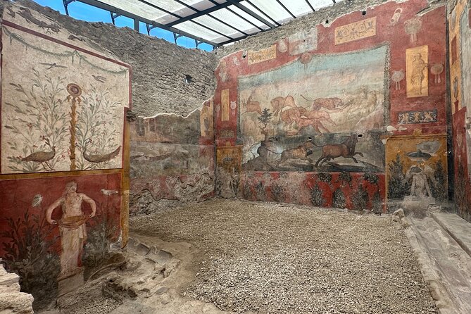 Pompeii Private Guided Tour - Reviews