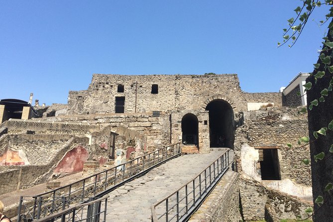 Pompeii-Wine Tasting Tour From Sorrento, Licensed Guide Included - Tour Inclusions