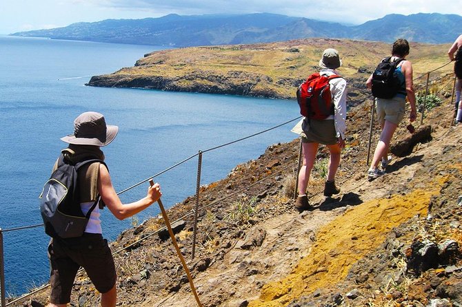 Ponta De São Lourenço Trail Walking Tour - Provided Walking Sticks and Rain Ponchos