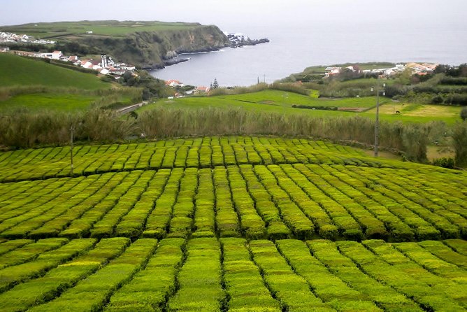 Ponta Delgada Small-Group Northeast Van Tour - Local Cuisine and Culture Experiences