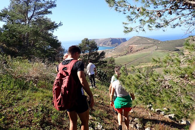 Porto Santo - Ana Ferreira Hiking Tour - Highlights of the Hiking Tour
