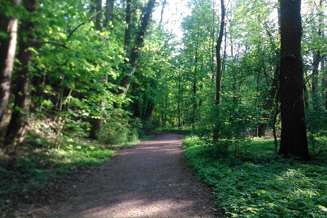Prague Nature Highlights PRIVATE E-Bike Tour - Memorable Experiences and Reviews