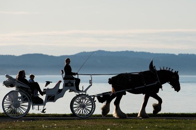 Premier Horse-Drawn Carriage Experience in Victoria - Traveler Reviews Highlights