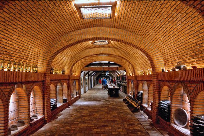 Premium & Organic Wine Tour in Kakheti - Kakheti Region